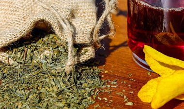 10 Herbal Remedies For Fibroids And Cysts You Need To Know