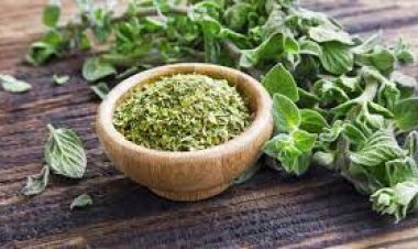 How Oregano Improve My Friend's Intestines Condition