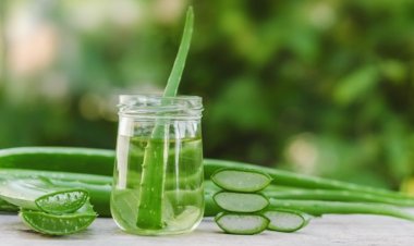 How I Transformed My Skin with Homemade Aloe Vera Soap