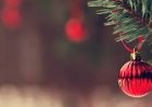 What to Expect from Family, Friends, and Society during the Yuletide Season
