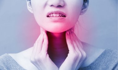 Understanding Thyroid Health: The Crucial Role of Diet, Hormones, and Immune Balance