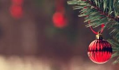 What to Expect from Family, Friends, and Society during the Yuletide Season