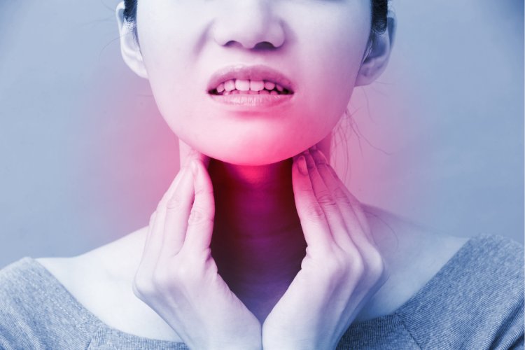 Understanding Thyroid Health: The Crucial Role of Diet, Hormones, and Immune Balance