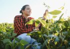 The Most Pressing Challenges Facing Agriculture Today and How to Build a More Sustainable and Resilient Food System