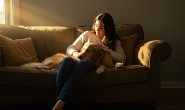 The Benefits of Pet Therapy for Mental Health