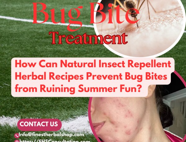 How Can Natural Insect Repellent Herbal Recipes Prevent Bug Bites from Ruining Summer Fun?